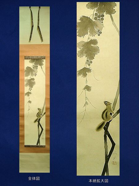貴道草衣 栗鼠