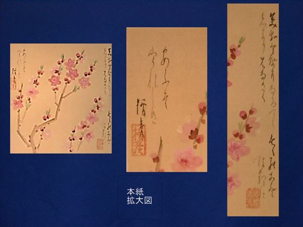 菅楯彦筆 桃花