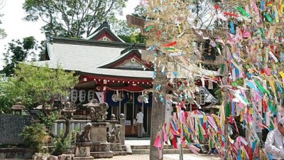 img_2_m