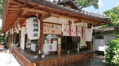 img_3_m