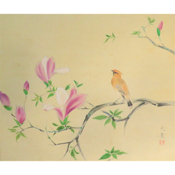 木本大果 木蓮 (2)_R
