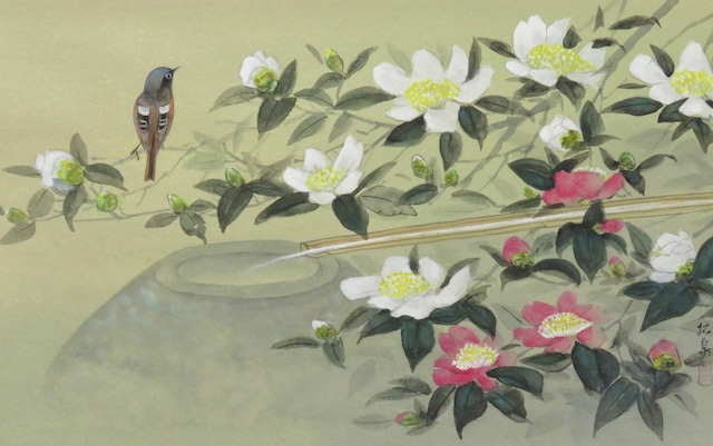 山茶花